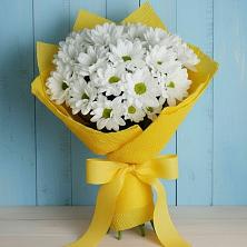 Букет цветов из:  Хризантемы в Приволжском Республики Марий Эл