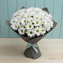 Букет цветов из:  Хризантемы #REPLACE_PRED# Приволжском Республики Марий Эл