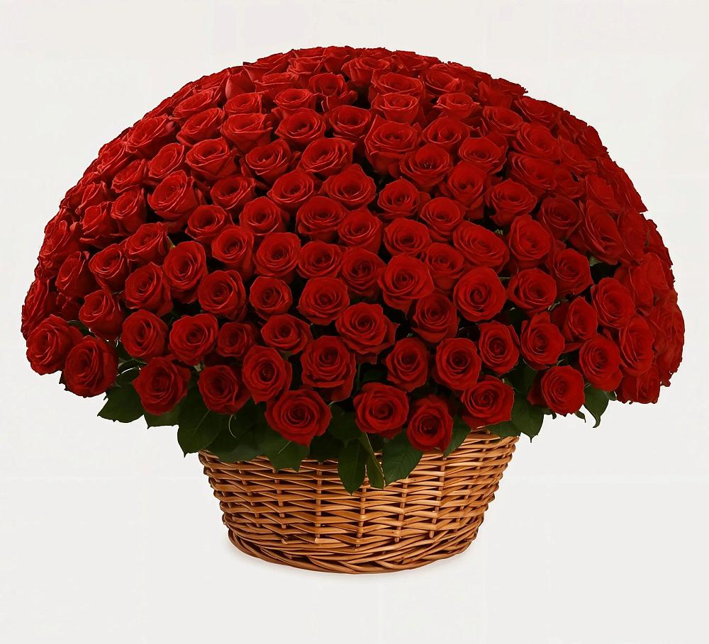 Премиум букет из: Розы в Приволжском Республики Марий Эл