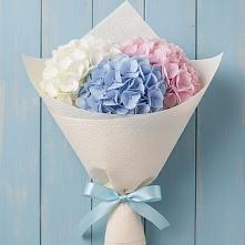 Букет цветов из:  Гортензия в Приволжском Республики Марий Эл
