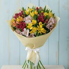 Букет цветов из:  Альстромерии #REPLACE_PRED# Приволжском Республики Марий Эл