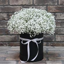 Цветочная композиция из Гипсофила в шляпной коробке в Приволжском Республики Марий Эл