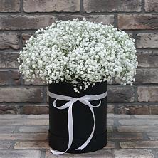Цветочная композиция из Гипсофила в шляпной коробке в Приволжском Республики Марий Эл