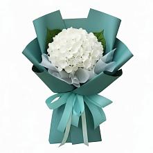 Букет цветов из:  Гортензия #REPLACE_PRED# Приволжском Республики Марий Эл